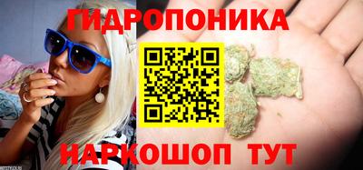 тгк Заводоуковск