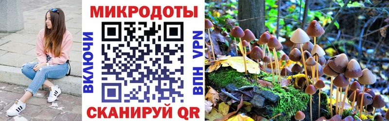 наркошоп мориарти телеграм Галлюциногенные грибы Psilocybe Сорочинск
