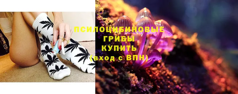 ОМГ ОМГ зеркало  Сорочинск  Псилоцибиновые грибы MAGIC MUSHROOMS  цена наркотик 