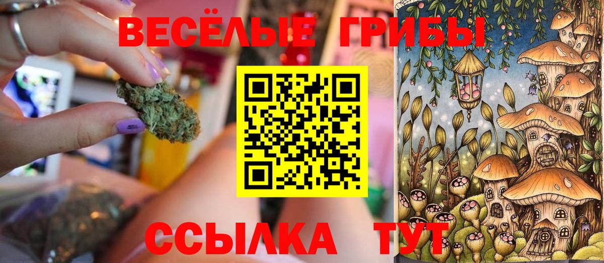 Псилоцибиновые грибы Magic Shrooms Сорочинск