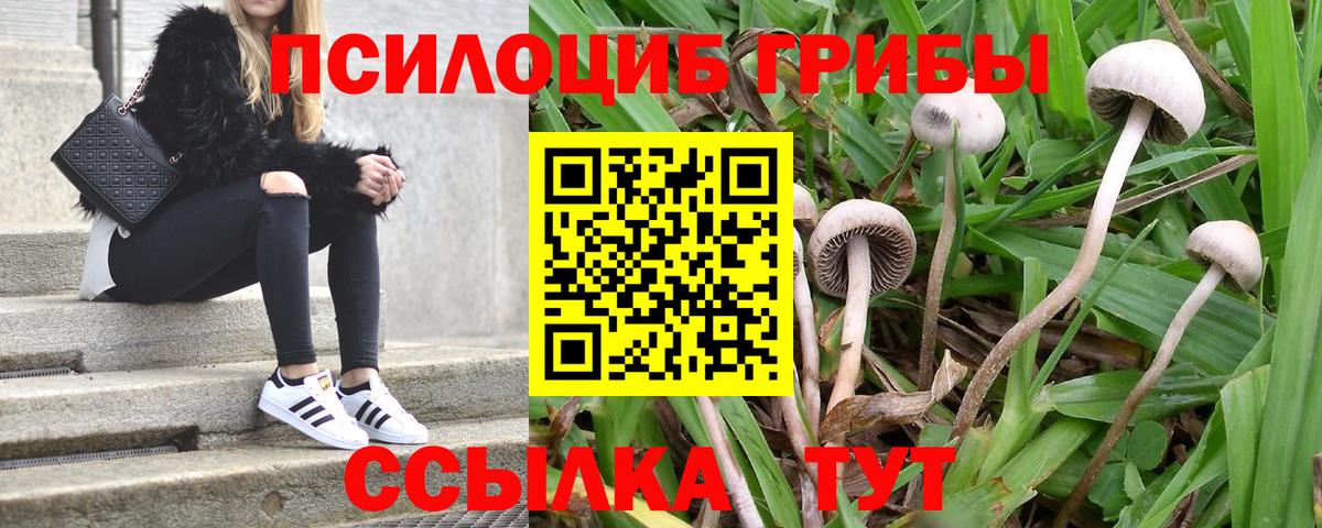 ГЕРОИН Сорочинск